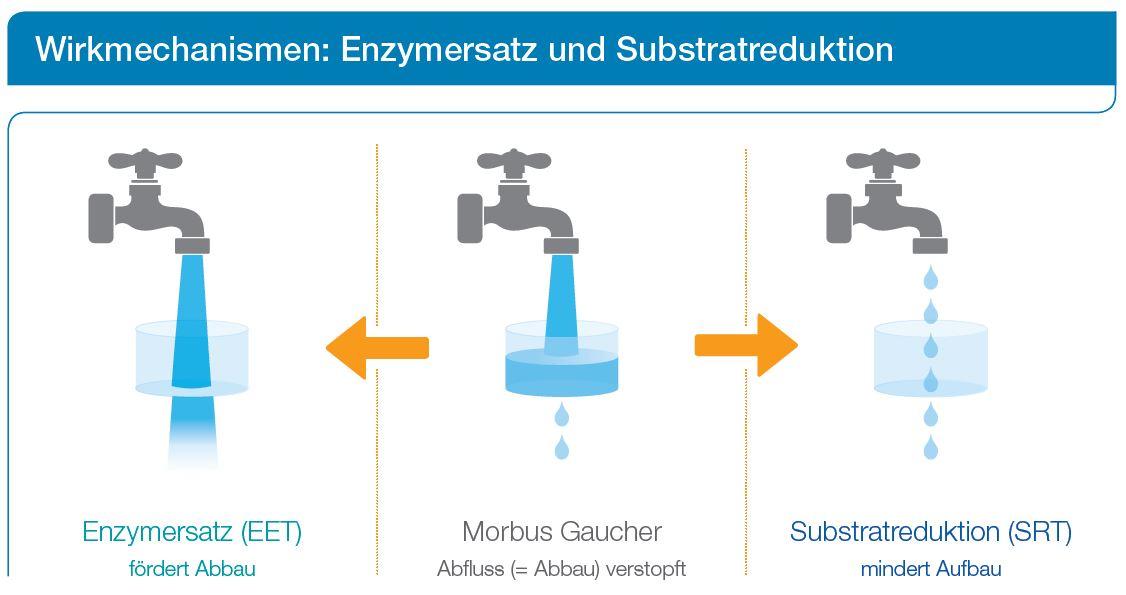 Enzymersatz und Substratreduction